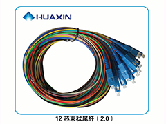 12芯束狀尾纖（2.0）